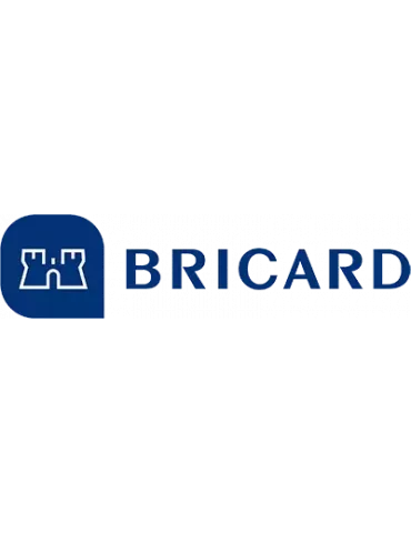 Set di 5 piastre di riscontro per serratura Bricard 8161, 5 scatole di catenaccio rettangolari