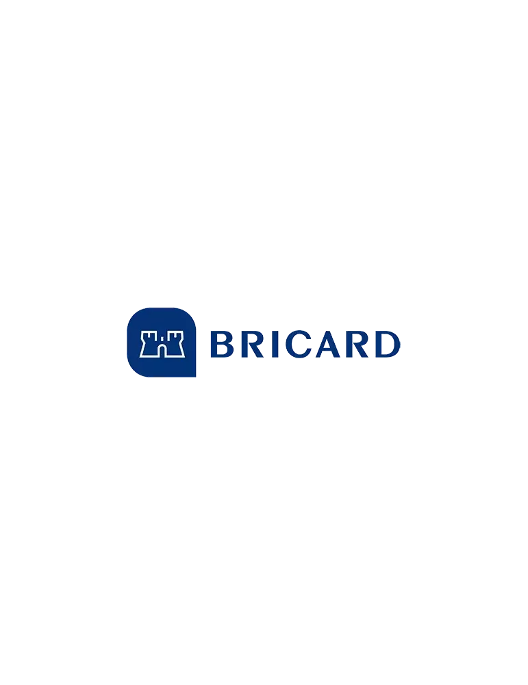 Set di 3 piastre di riscontro piatte per serratura Bricard 8161, 3 casse di serratura, 5 chiavistelli, 100 mm