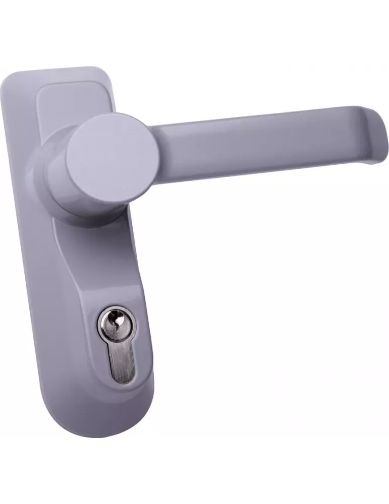 "Large model" outdoor module for Bricard panic exit device