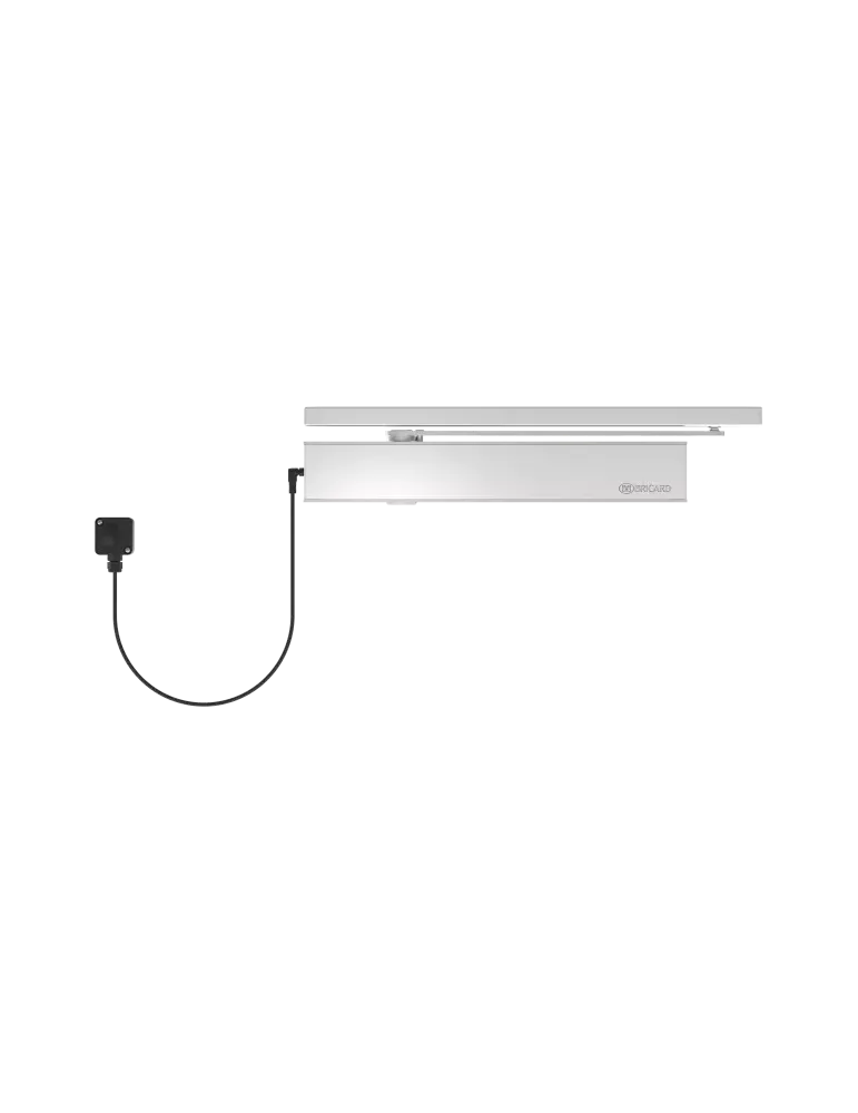 Bricard 695 Series Door Closer