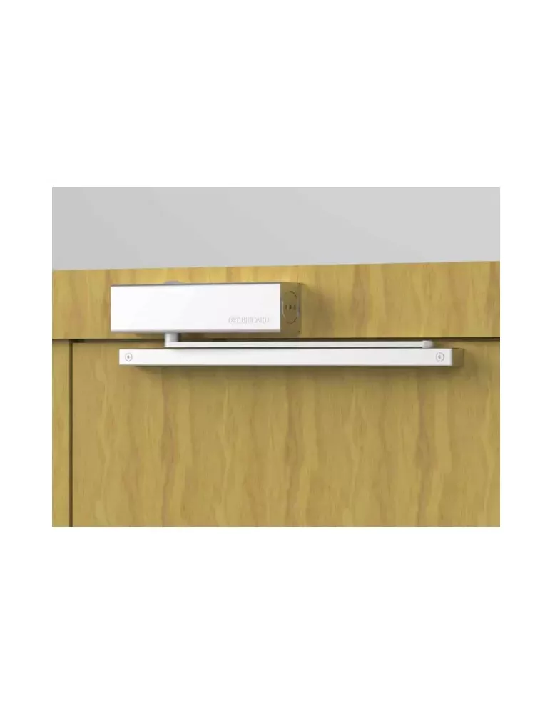 Bricard 648 Series Door Closer