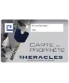 Cylindre Heracles Y8C à bouton