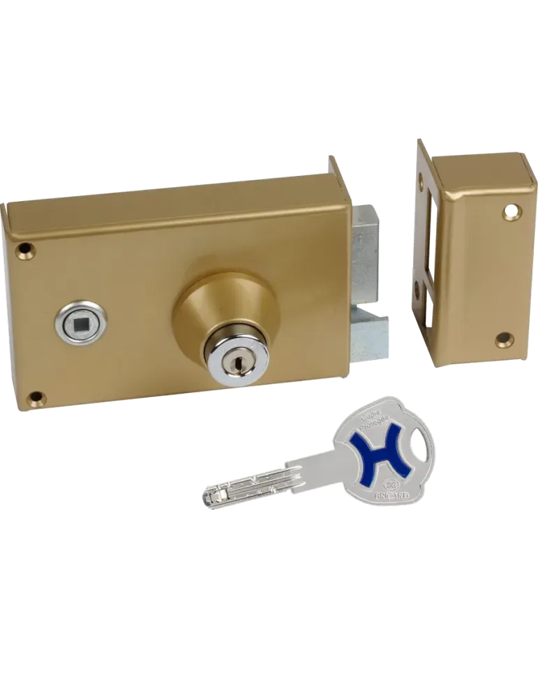 Bricard Series 390 single point lock