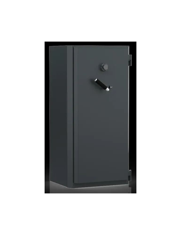 Cassaforte Fichet Bauche Hélios 160 L – Antifurto e Fuoco – MxB + Mc4