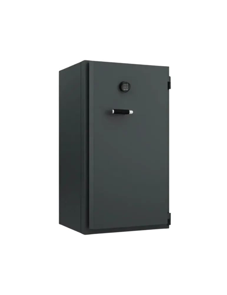 Coffre-fort Fichet Bauche Hélios 240 L Vol et Feu – Nectra