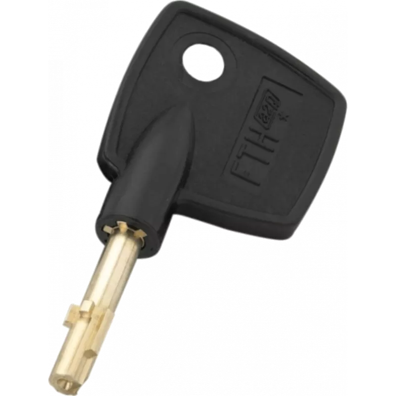 Thirard Ariane Duplicate Key