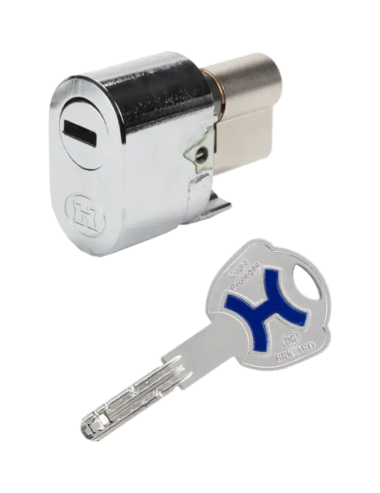 Cylindre Bricard Dual xp S2 pour serrure 8162