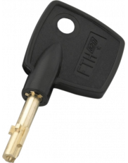 Thirard Surveyor Duplicate Key