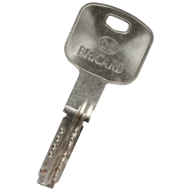 Double de clé Bricard Mistral S