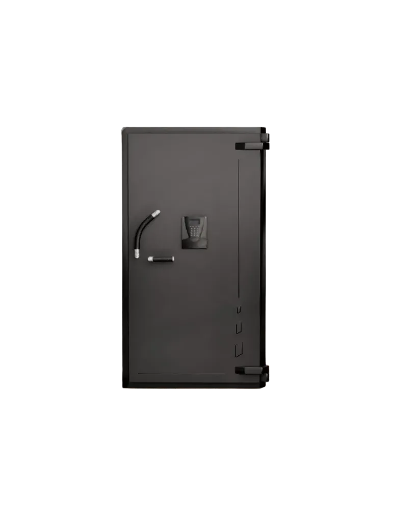 Cassaforte Fichet Bauche Inviktus 30 Classe V - doppia serratura MxB - visual Fichet Bauche non contrattuale