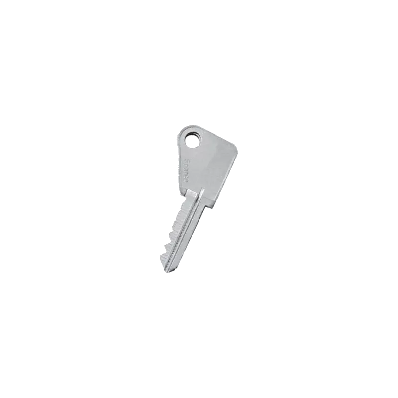 Bricard Old 6 Pins key