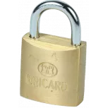 Bricard padlock