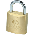Bricard padlocks
