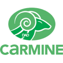 Key Carmine